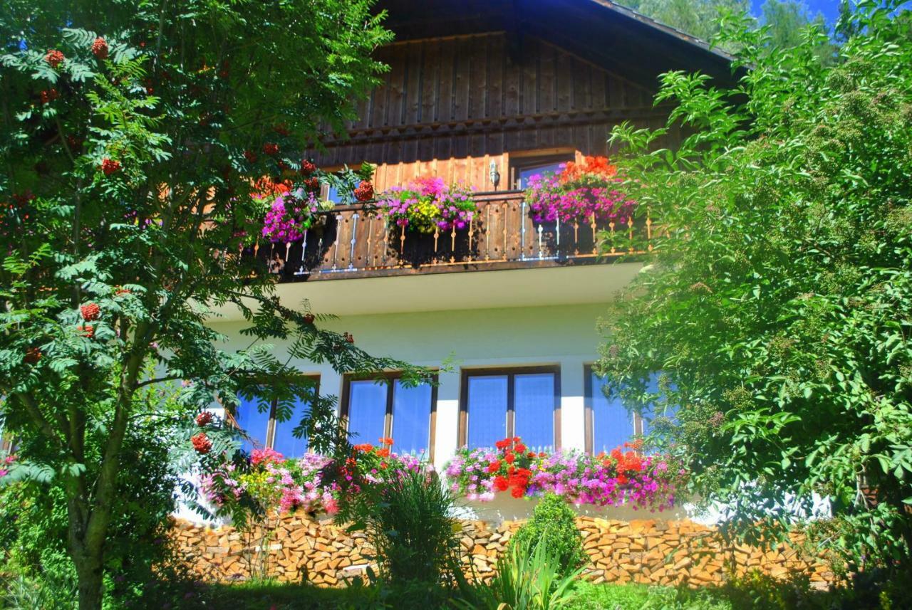 Apartment Zum Wasserfall Krakaudorf Εξωτερικό φωτογραφία