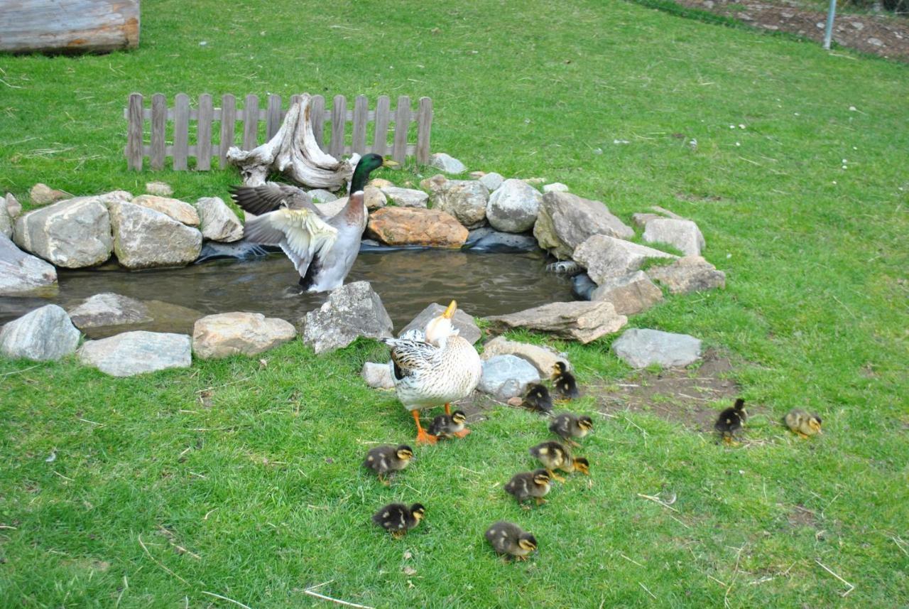 Apartment Zum Wasserfall Krakaudorf Εξωτερικό φωτογραφία