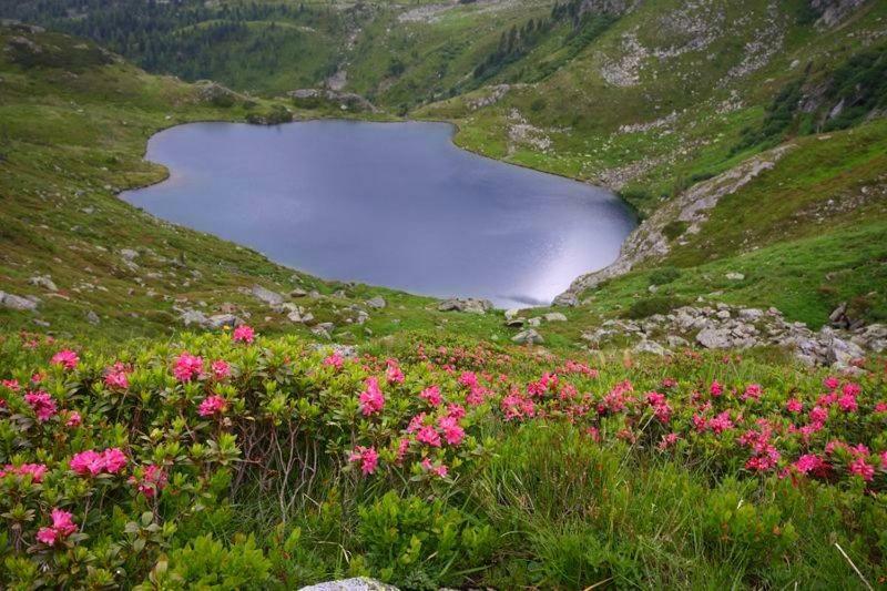 Apartment Zum Wasserfall Krakaudorf Εξωτερικό φωτογραφία
