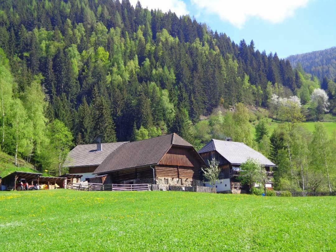 Apartment Zum Wasserfall Krakaudorf Εξωτερικό φωτογραφία