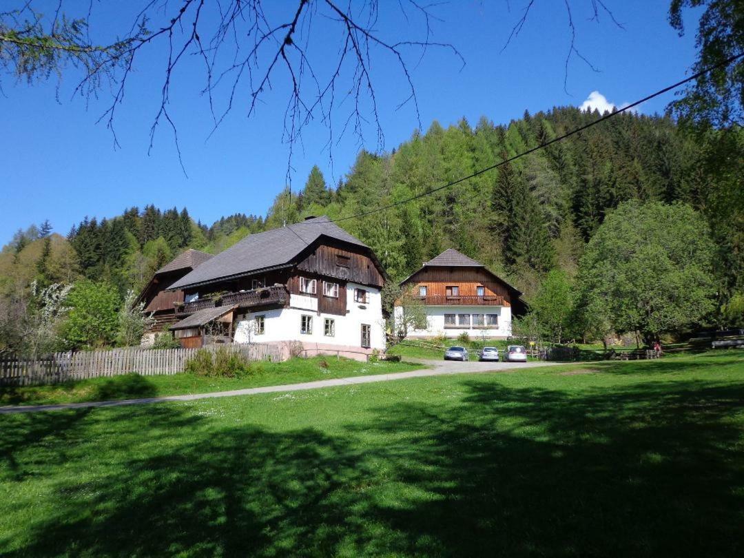 Apartment Zum Wasserfall Krakaudorf Εξωτερικό φωτογραφία