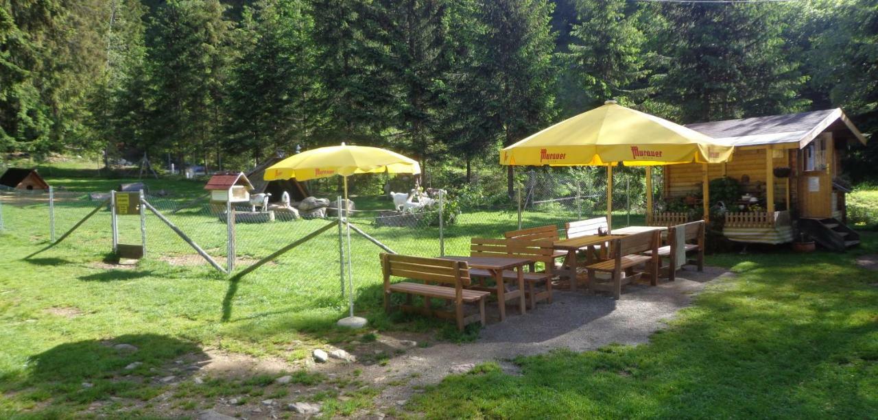 Apartment Zum Wasserfall Krakaudorf Εξωτερικό φωτογραφία