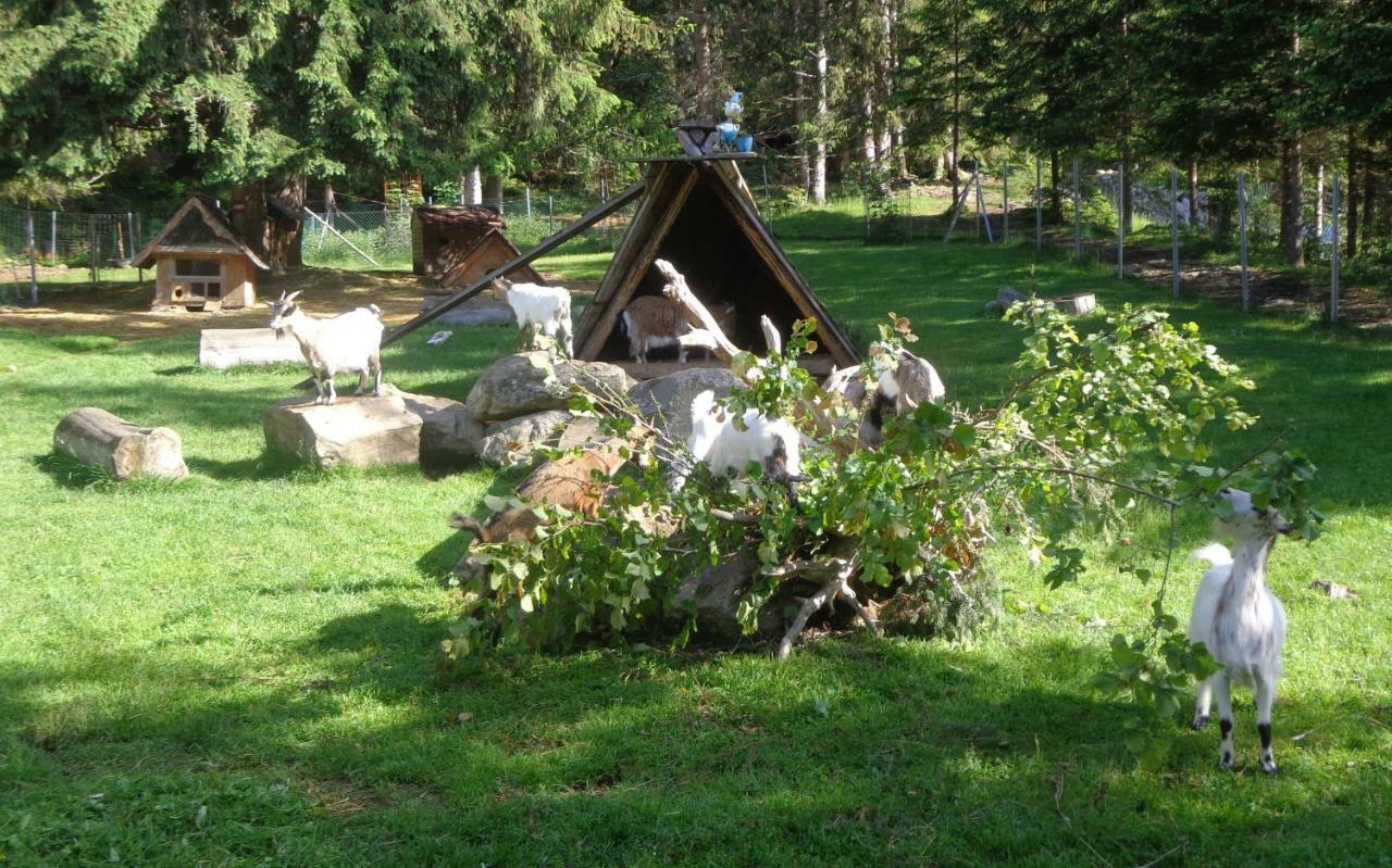 Apartment Zum Wasserfall Krakaudorf Εξωτερικό φωτογραφία