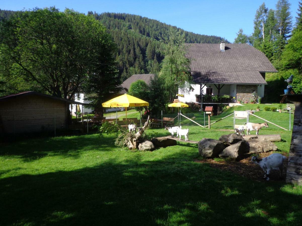 Apartment Zum Wasserfall Krakaudorf Εξωτερικό φωτογραφία